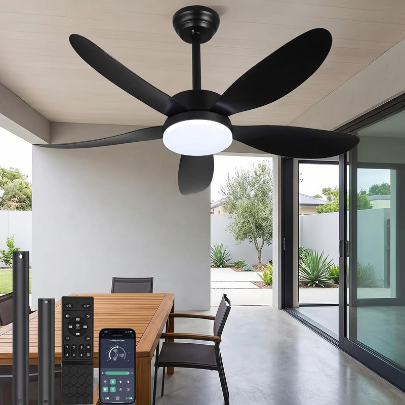 Ceiling Fans with Lights and Remote 30 Inch