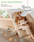 Ceiling Fans with Lights and Remote 30 Inch