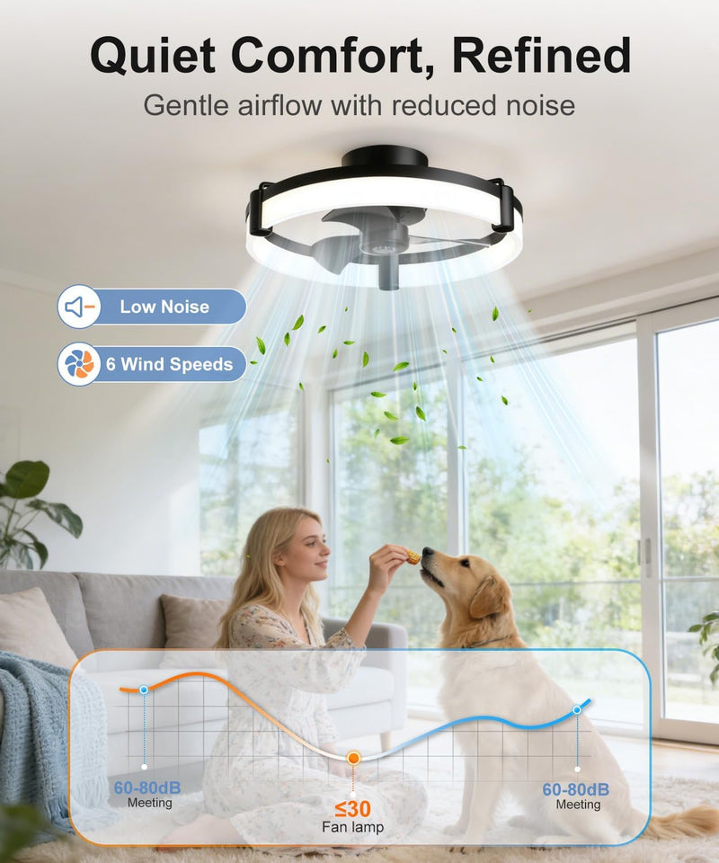 Ceiling Fans with Lights and Remote 50CM Low