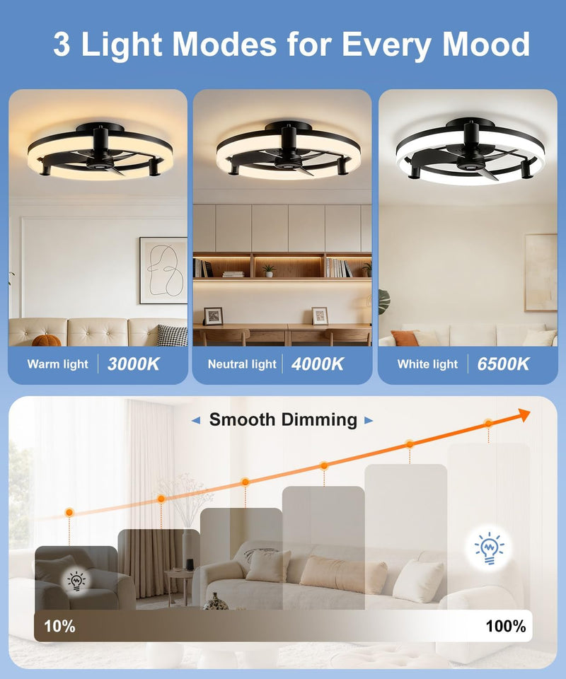 Ceiling Fans with Lights and Remote 50CM Low