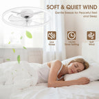 Ceiling Fans with Lights and Remote 6 Speeds
