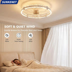 Ceiling Fans with Lights and Remote LED