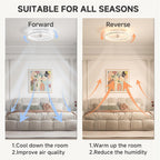 Ceiling Fans with Lights and Remote Modern