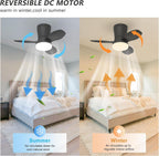 Ceiling Fans with Lights Modern Fan Light