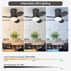 Ceiling Fans with Lights Modern Fan Light