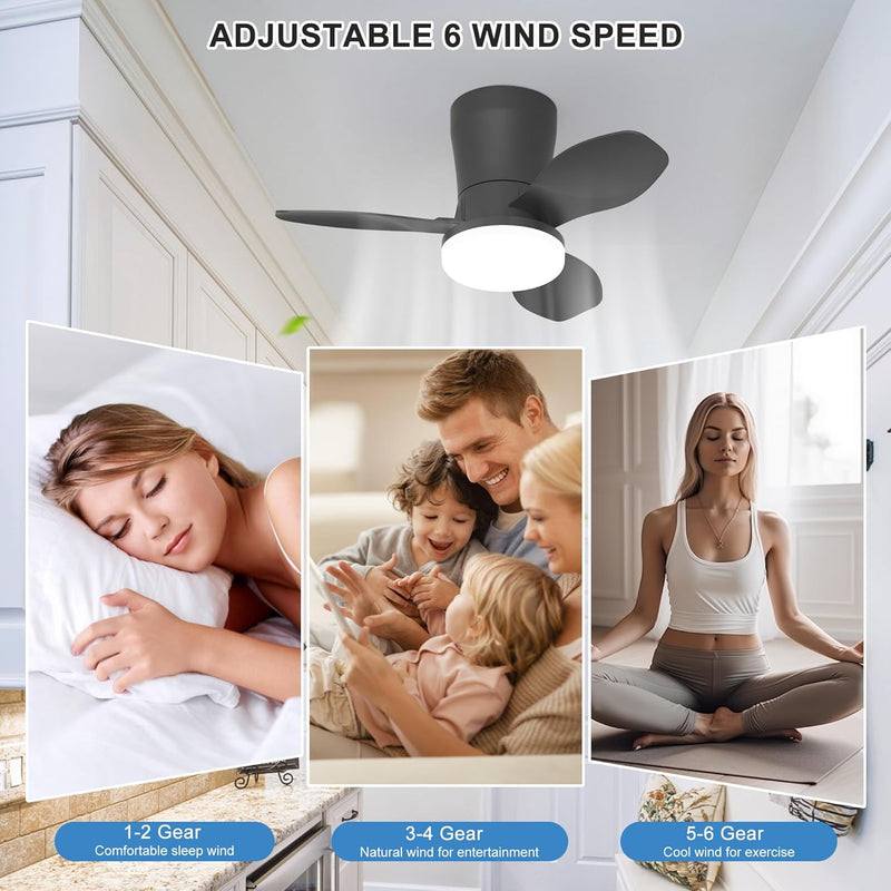 Ceiling Fans with Lights Modern Fan Light