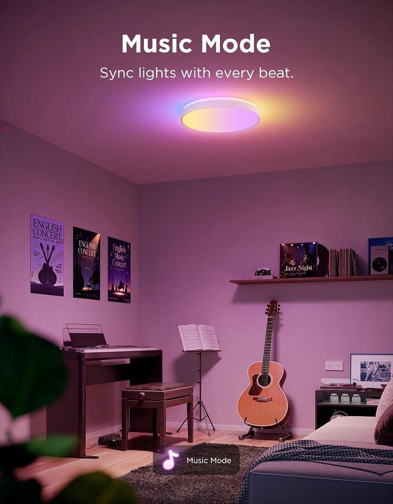 Ceiling Light 48.5W Smart LED 4300lm ø38CM
