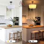 Ceiling Light Living Room Bedroom Lights with Pleated