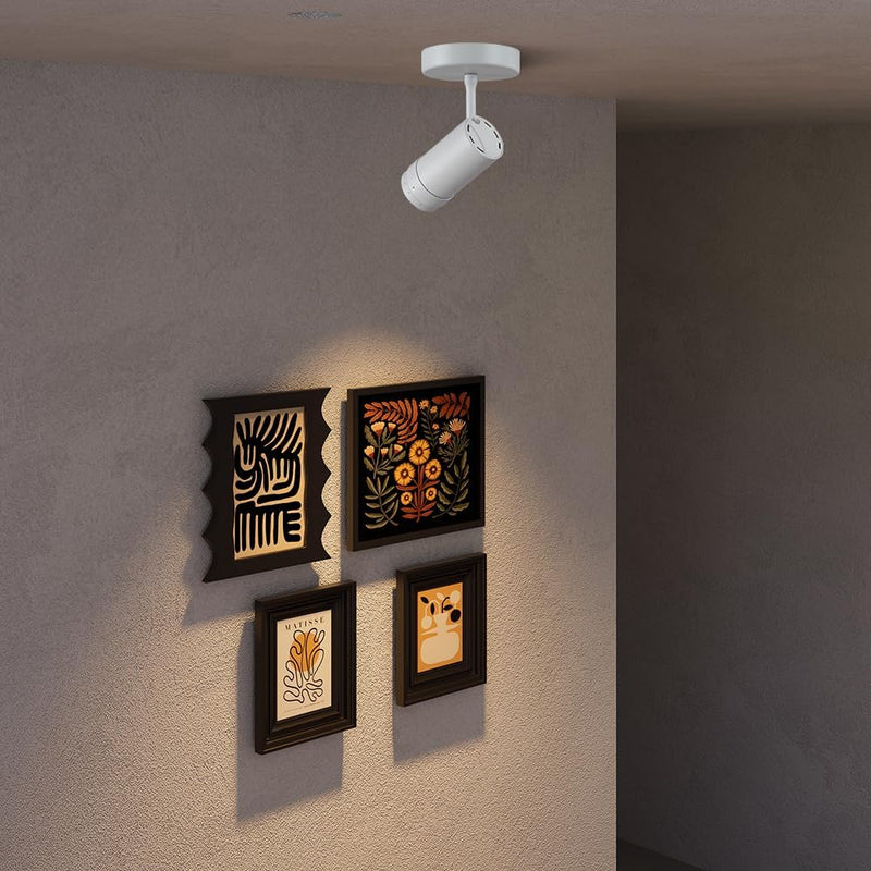 Lights Ceiling Zoomable Directional Spotlights