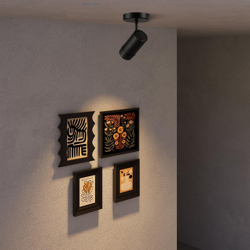 Lights Ceiling Zoomable Directional Spotlights