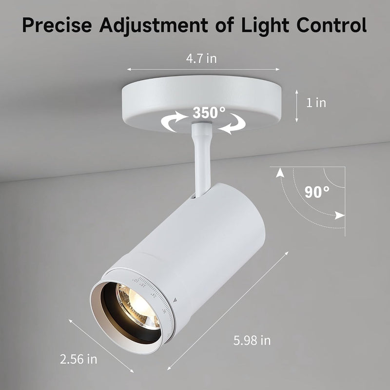 Lights Ceiling Zoomable Directional Spotlights