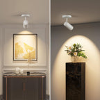 Lights Ceiling Zoomable Directional Spotlights