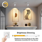 Lights Ceiling Zoomable Directional Spotlights