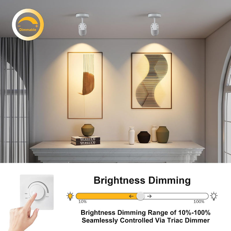 Lights Ceiling Zoomable Directional Spotlights
