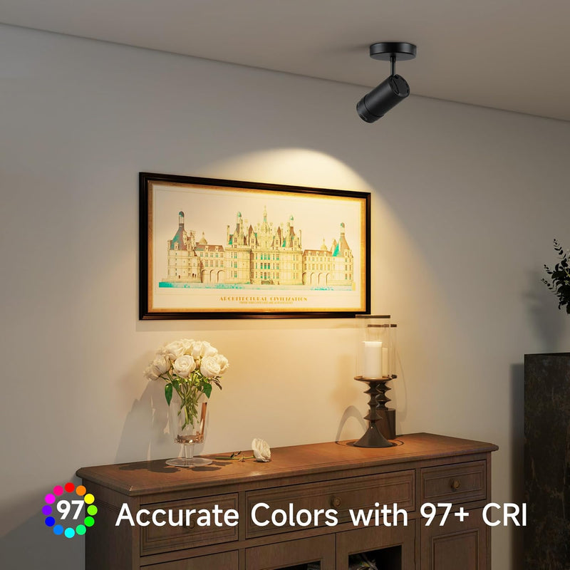 Lights Ceiling Zoomable Directional Spotlights