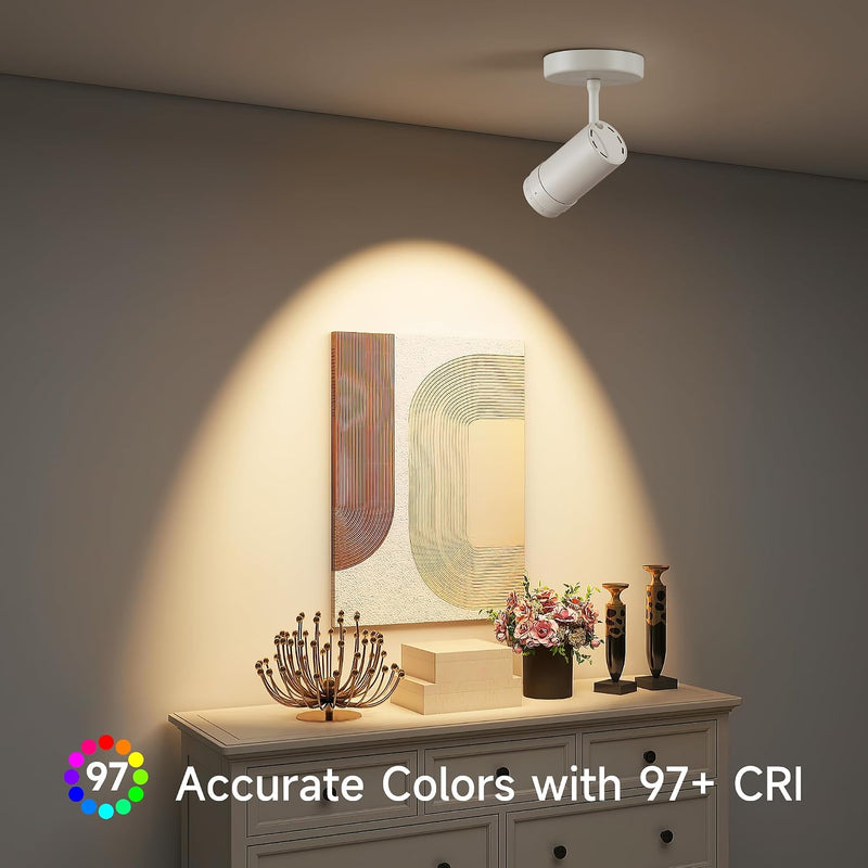 Lights Ceiling Zoomable Directional Spotlights