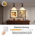 Lights Ceiling Zoomable Directional Spotlights