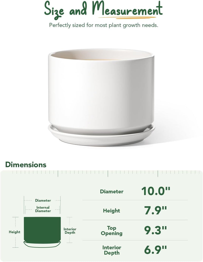 Ceramic Large Indoor Plant Pot Planter