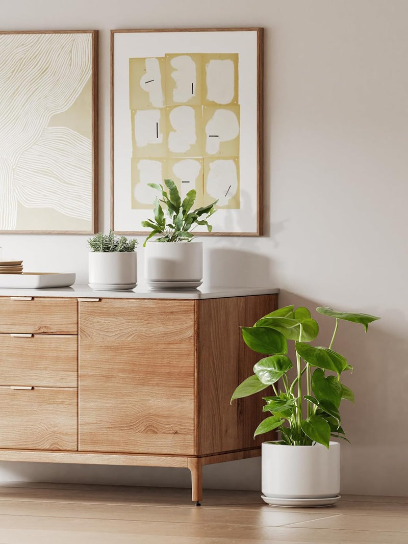 Ceramic Large Indoor Plant Pot Planter