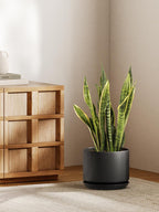 Ceramic Large Indoor Plant Pot Planter