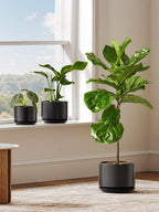 Ceramic Large Indoor Plant Pot Planter