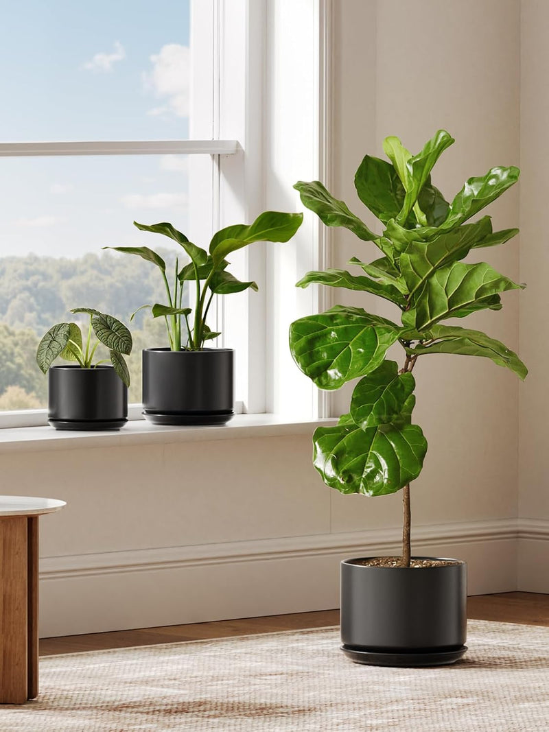 Ceramic Large Indoor Plant Pot Planter