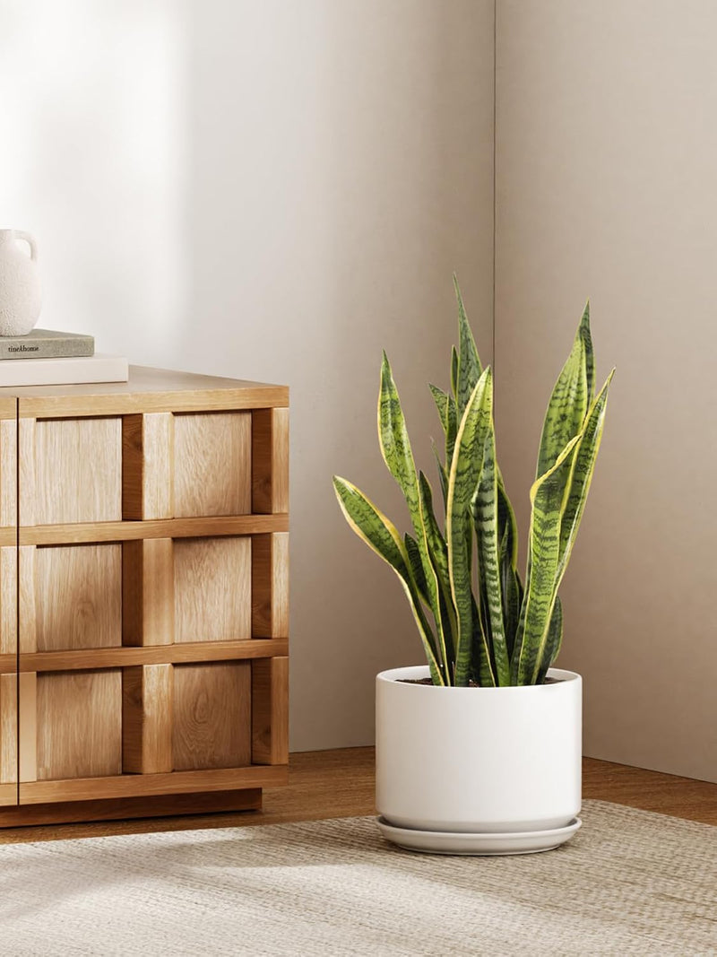 Ceramic Large Indoor Plant Pot Planter