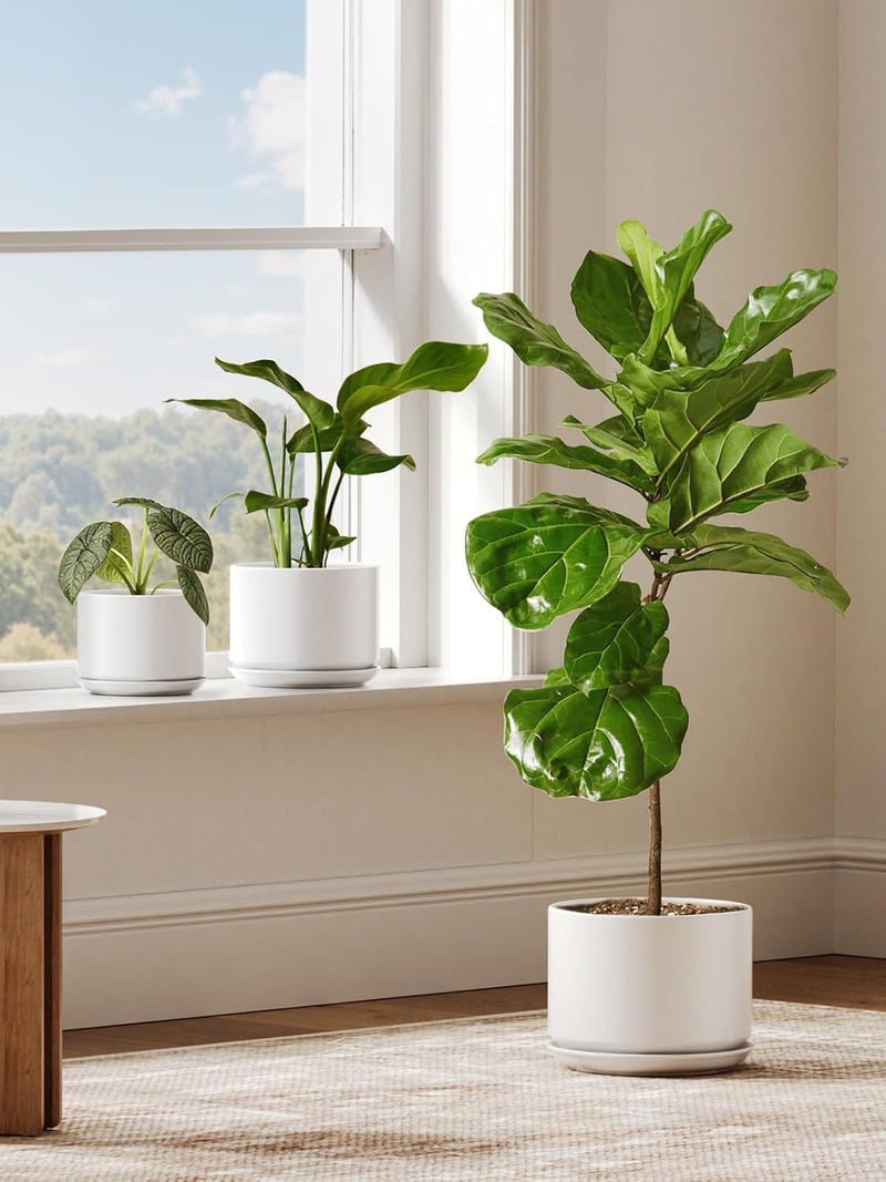 Ceramic Large Indoor Plant Pot Planter