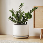 Ceramic Large Indoor Plant Pot Planter
