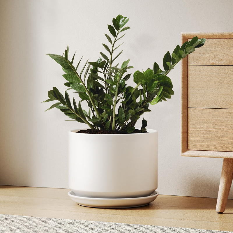 Ceramic Large Indoor Plant Pot Planter