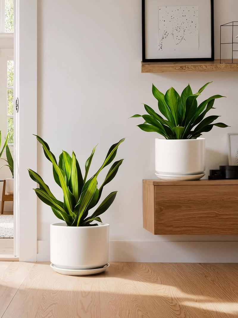 Ceramic Large Indoor Plant Pot Planter