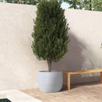 Ceramic Plant Pot Flower Pots