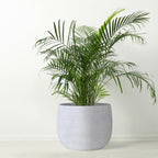 Ceramic Plant Pot Flower Pots