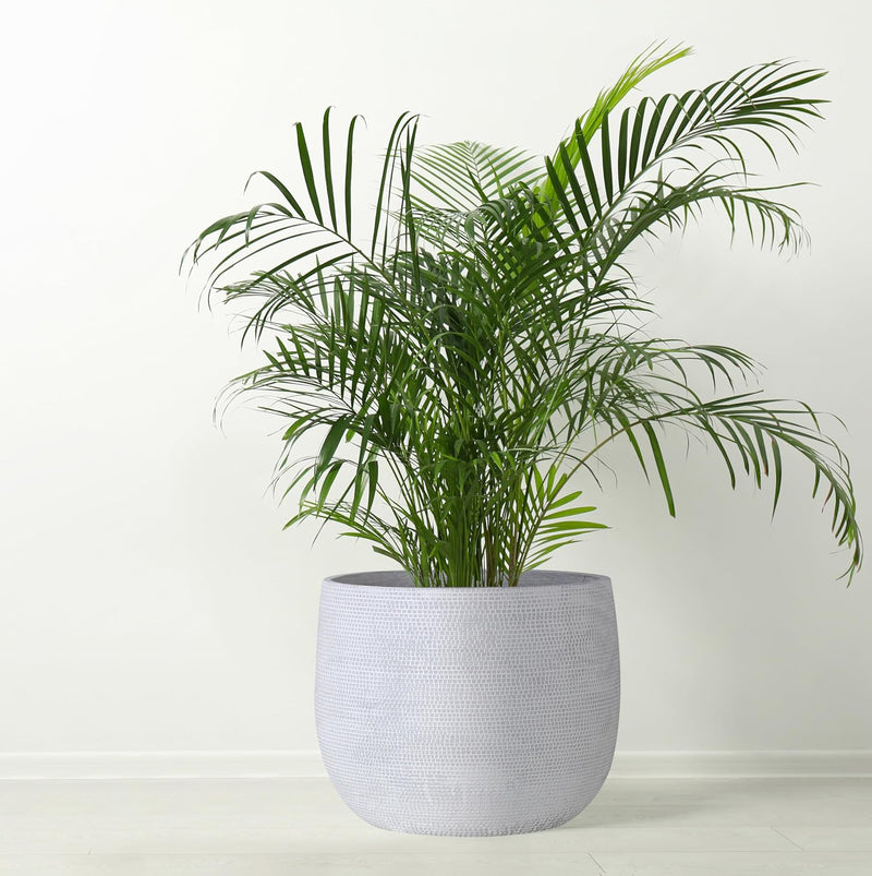 Ceramic Plant Pot Flower Pots