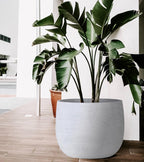 Ceramic Plant Pot Flower Pots