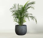 Ceramic Plant Pot Flower Pots