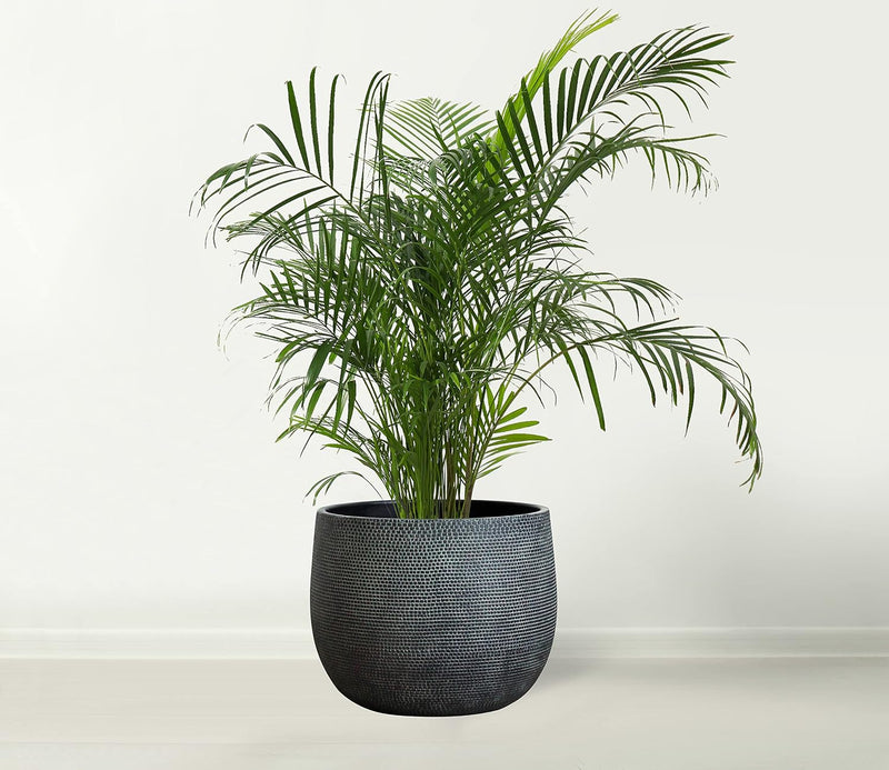 Ceramic Plant Pot Flower Pots