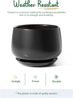 Ceramic Plant Pots Pot