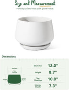 Ceramic Plant Pots Pot