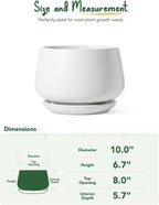 Ceramic Plant Pots Pot