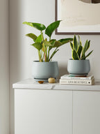 Ceramic Plant Pots Pot