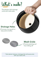 Ceramic Plant Pots Pot