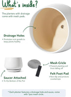 Ceramic Plant Pots Pot