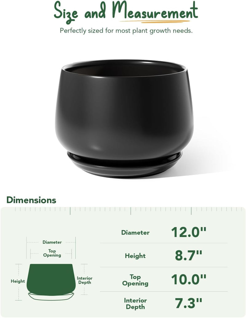 Large Ceramic Plant Pots
