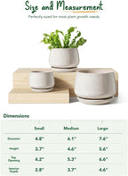 Ceramic Plant Pots Pot