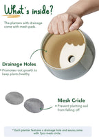 Ceramic Plant Pots Pot
