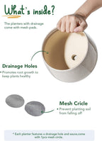 Ceramic Plant Pots Pot