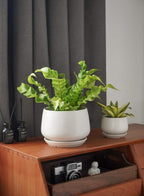 Ceramic Plant Pots Pot