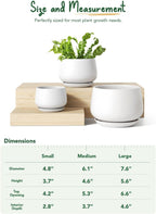 Ceramic Plant Pots Pot
