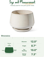 Ceramic Plant Pots Pot